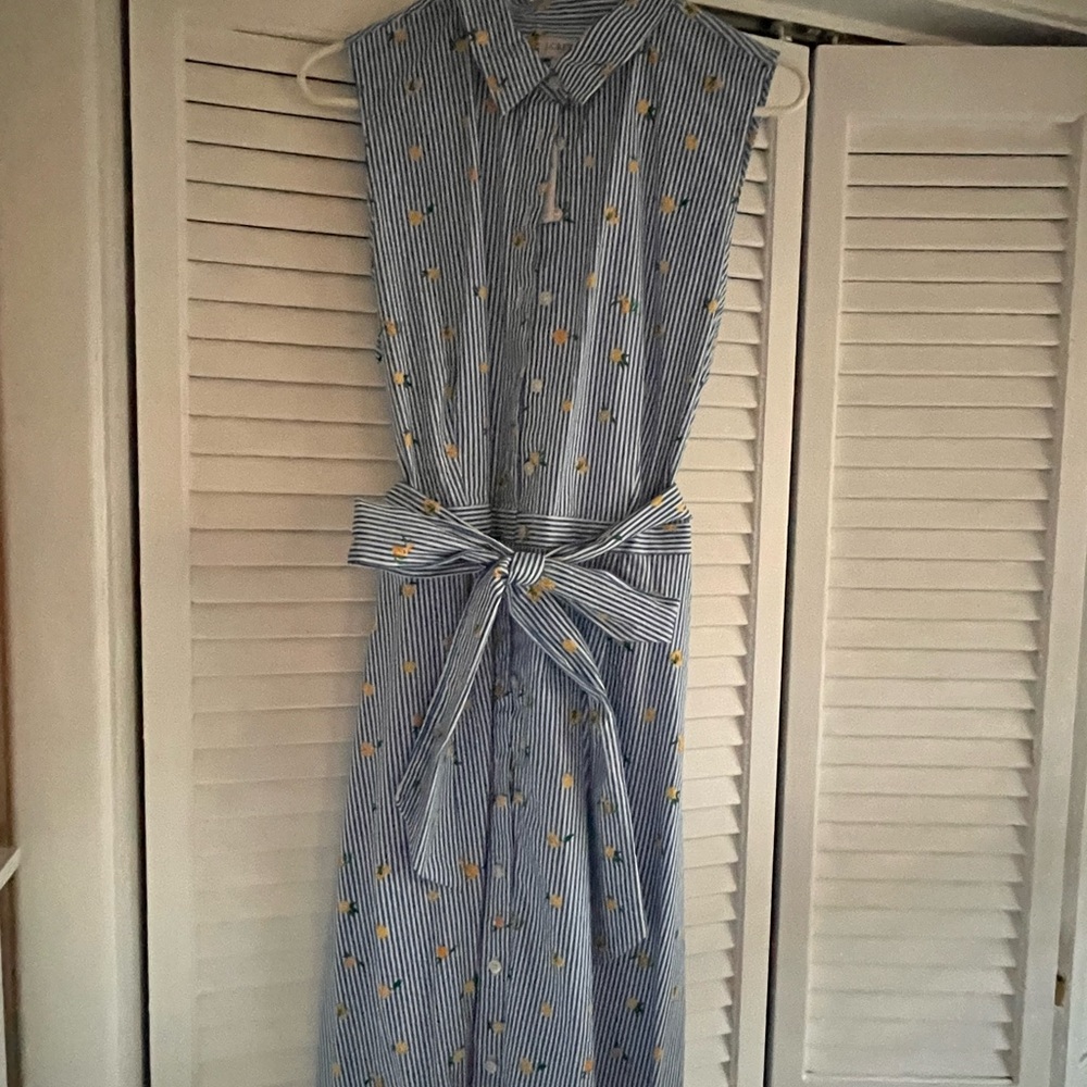 Blue Striped Sleeveless Dress with Belt